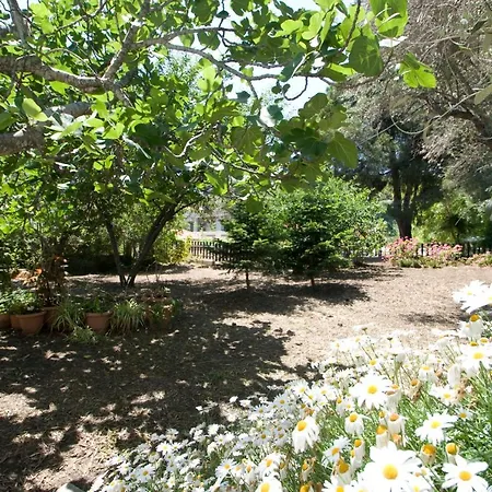 Alexandra Skiathos * Platanias (Skiathos)