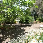 Alexandra Skiathos * Platanias (Skiathos)