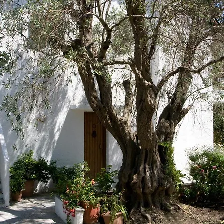 Alexandra Skiathos *