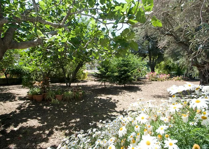 Alexandra Skiathos * Platanias (Skiathos)