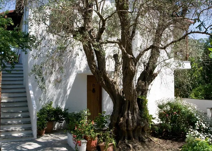 Alexandra Skiathos *